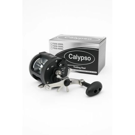Calypso Budget Trolling Reel