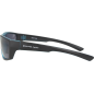 Golden Catch Polarized Sunglasses MBB171GR