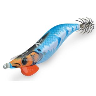 DTD X EGI 3.0