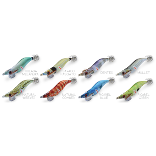 DTD X EGI 3.0