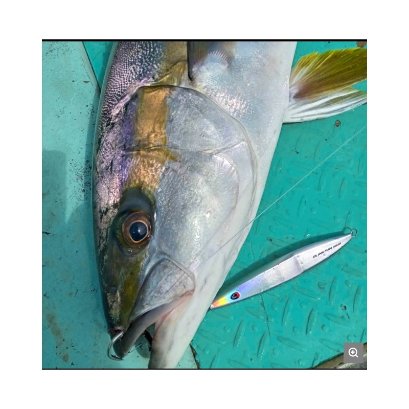 TAILWALK BLINK MAN 180G JIG