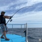 TAILWALK OFFSHORE MÜCADELE KEMERİ