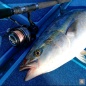 TAILWALK STEALZ 14000 Heavy Duty Spinning Reel