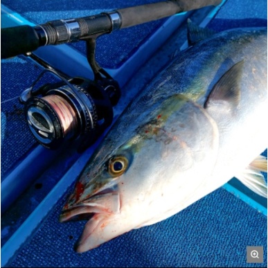 TAILWALK STEALZ 14000 Heavy Duty Spinning Reel