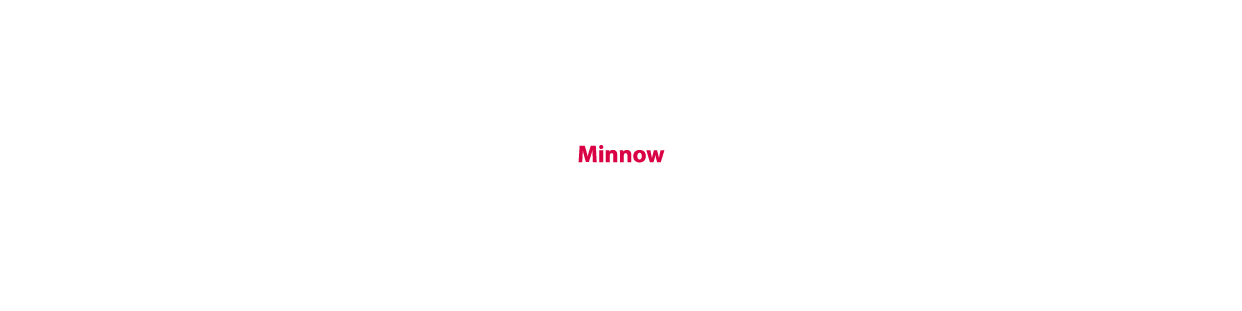 Minnow Lures