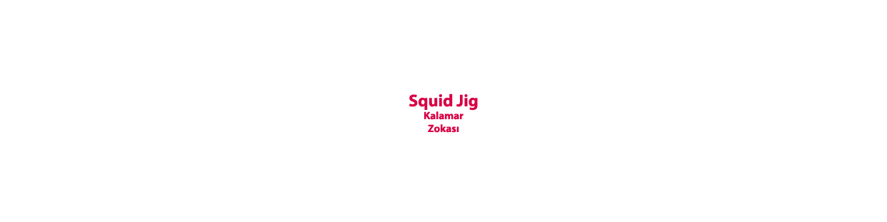 Squid Jigs